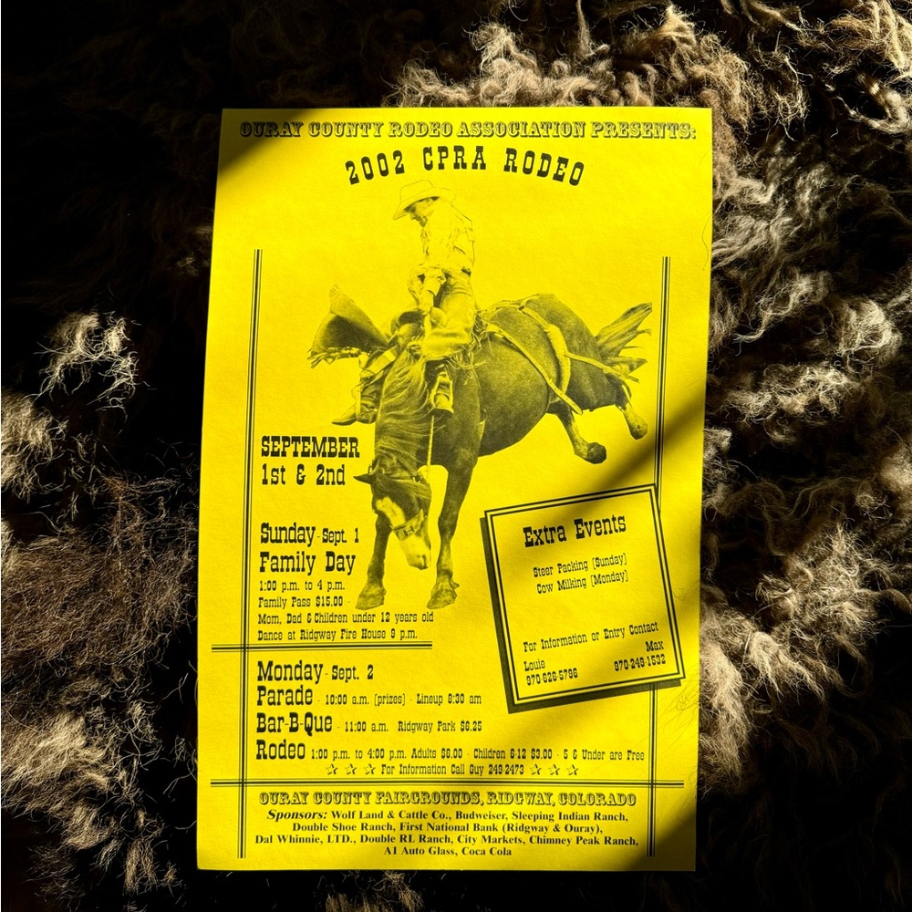 Rodeo Poster